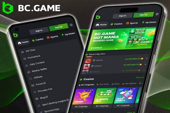 BC.GAME Online Casino Indonesia Your Gateway to Exciting Gaming